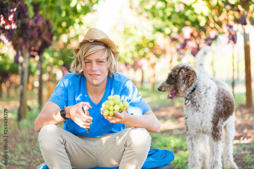 Smiling boy with dog in vineyard at sunny day Smiling boy with dog in vineyard at sunny day