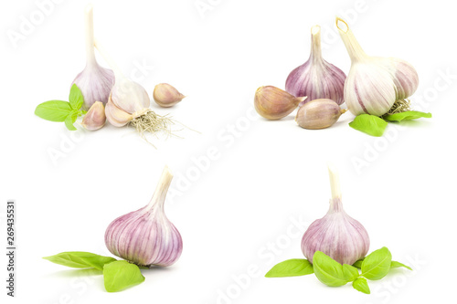 Collage of Garlic clove isolated on a white background cutout photo