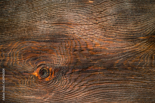 Old wooden background, old tree