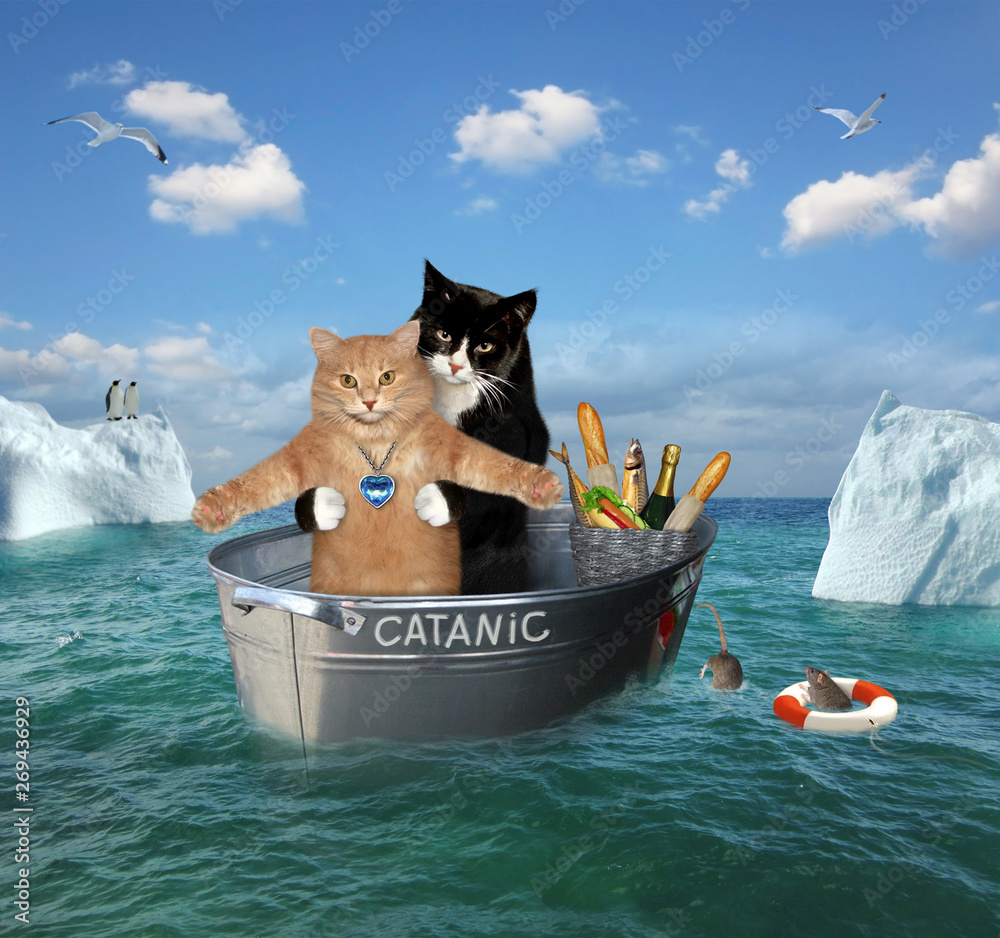 Φωτογραφία The two brave cats are drifting in the steel washtub among the icebergsin the sea