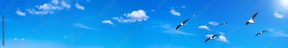 Creative layout with a huge copy space. Background made of bright blue sky with sun, white clouds and a group flying seagulls