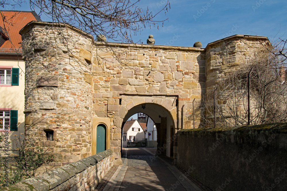 Alter Burgeingang des Alzeyer Schlosses in Alzey in Rheinhessen, Rheinland-Pfalz, Deutschland 