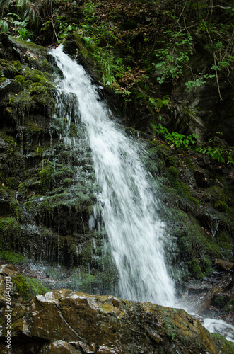 waterfall in forest
