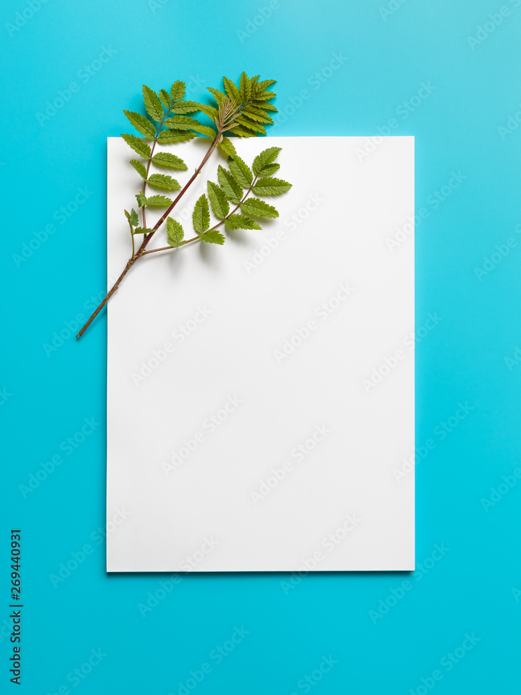 Mockup blank paper and branch with green leaves on a blue background. Mockup blank paper and branch with green leaves on a blue background.