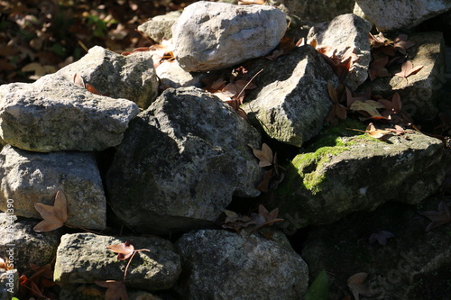 South of France - Old stones with maple leaves on a sunny fall day