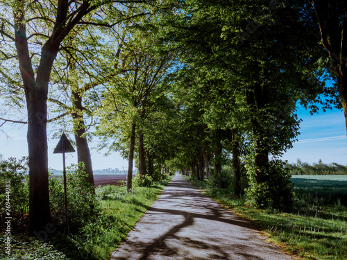 Weg in Heede
