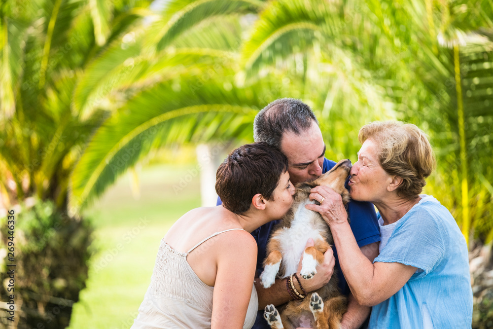 Family group happy people kissing and playing outdoor with nice funny young animal dog shetland adorable puppy - pet therapy concept and green defocused natural background Family group happy people kissing and playing outdoor with nice funny young animal dog shetland adorable puppy - pet therapy concept and green defocused natural background