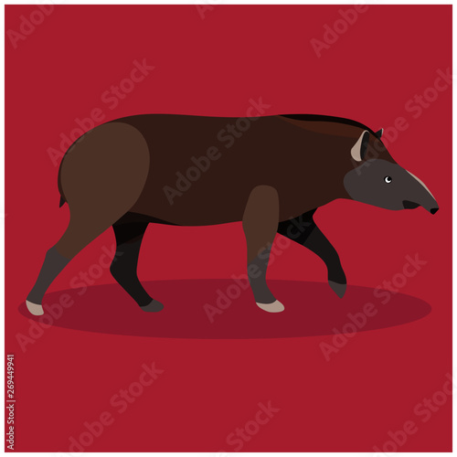 Tapir illustration