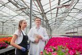 A young man and woman in white coats and black aprons, scientists, biologists or agronomists examine and analyze flowers and green plants in the greenhouse.