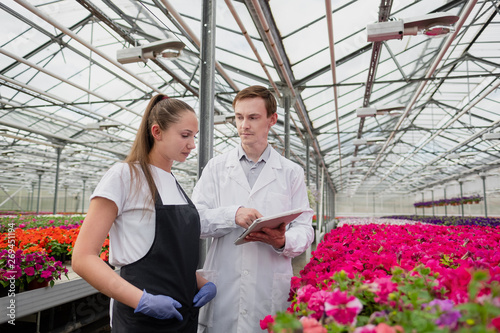 A young man and woman in white coats and black aprons, scientists, biologists or agronomists examine and analyze flowers and green plants in the greenhouse.