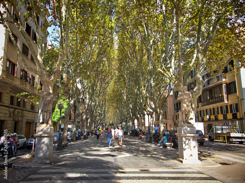 PALMA, SPAIN - September 23, 2016:  Palma is on the south coast of Mallorca on the Bay of Palma, in Spain. It serves over 29 million airline and cruise ship passengers per year. photo