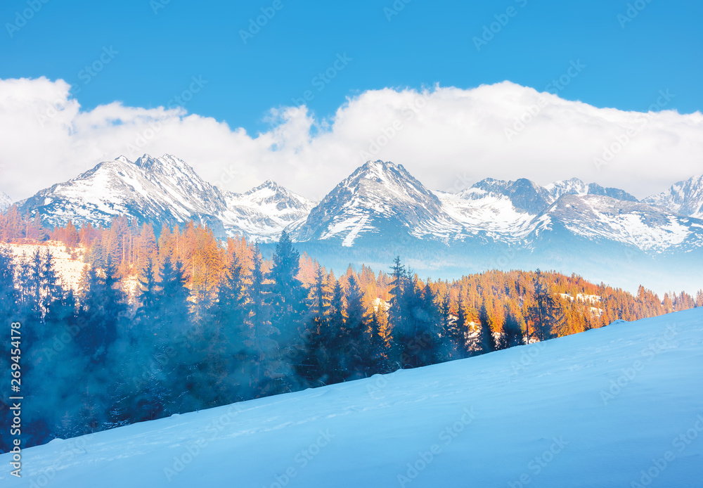 winter scenery in mountains. spruce trees on a snowy hill in evening light. snow capped ridge in the distance. hazy weather and cloudy sky. composite imagery