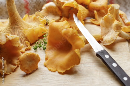 Fresh chanterelle mushrooms on the table. Mushrooms after cleaning