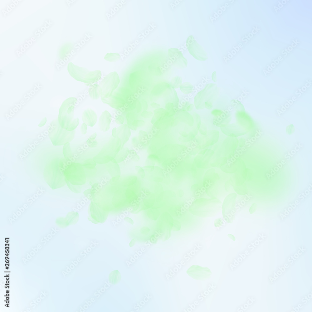 Green flower petals falling down. Immaculate roman Green flower petals falling down. Immaculate roman