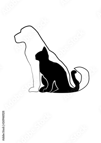 cane e gatto