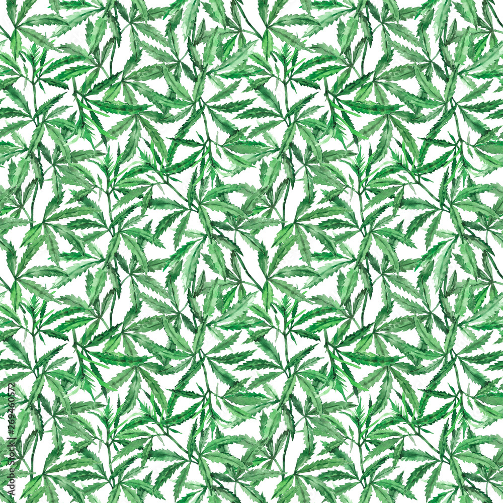 Watercolor hand-painted botany cannabis leaves and branches illustration seamless pattern on white background