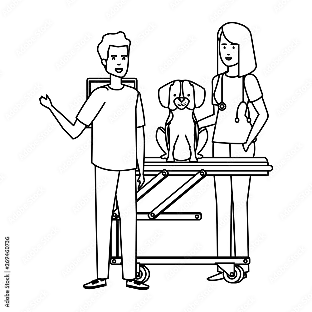 female veterinary with dog in stretcher female veterinary with dog in stretcher