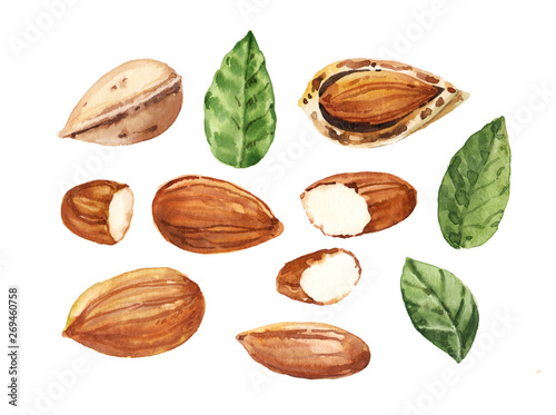 Fotografia Watercolor hand painted almond nut and leaves illustration set on white backgrou