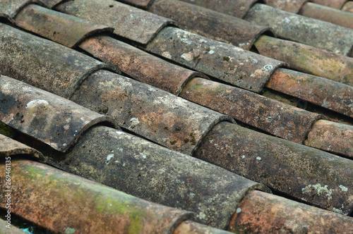 moldy roof tiles template