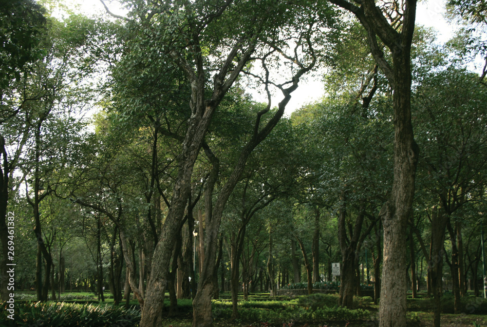 parque después de la lluvia parque después de la lluvia