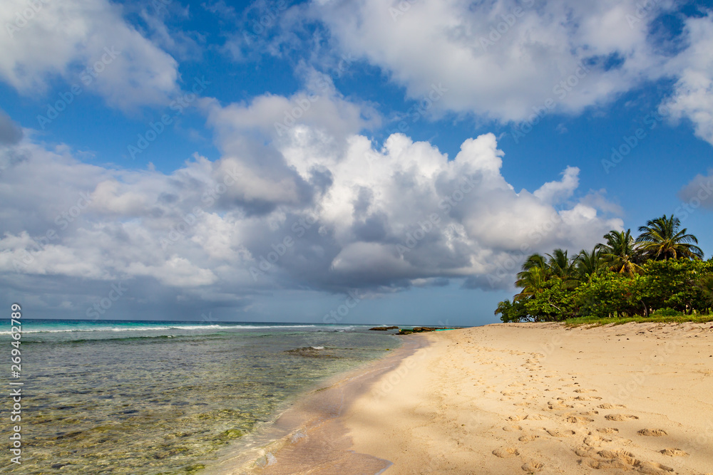 An early morning beach view on the Caribbean Island of Barbados An early morning beach view on the Caribbean Island of Barbados