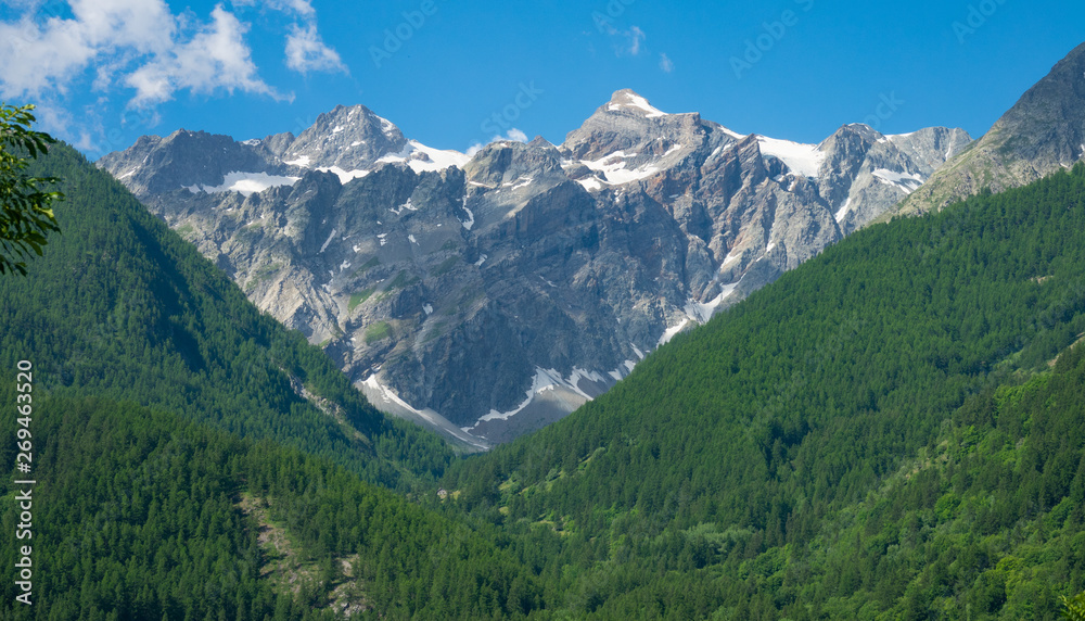 AERIAL: Dense coniferous forest covers the valley under breathtaking French Alps