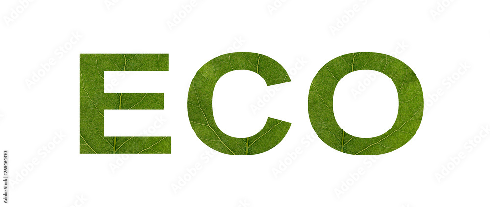 ECO word from green leaf isolated on white background. Concept: name, eco-friendly, text. ECO word from green leaf isolated on white background. Concept: name, eco-friendly, text.