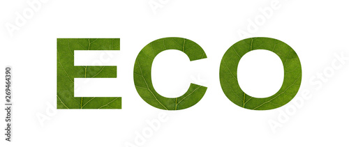 ECO word from green leaf isolated on white background. Concept: name, eco-friendly, text.