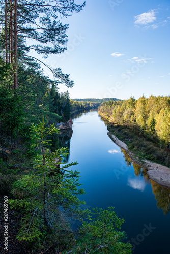 scenic river view landscape of forest rocky stream with trees on the shores