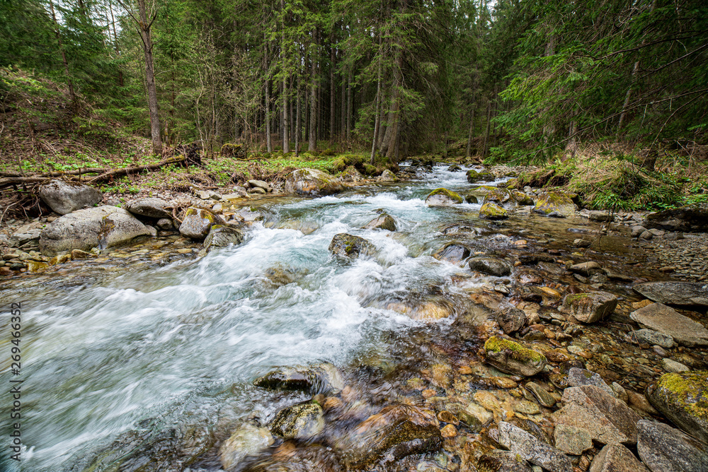 scenic river view landscape of forest rocky stream with trees on the shores scenic river view landscape of forest rocky stream with trees on the shores