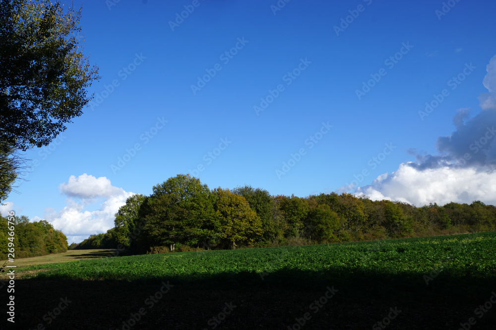 panorama de la Forêt Domaniale de Vouillé-Saint-Hilaire panorama de la Forêt Domaniale de Vouillé-Saint-Hilaire