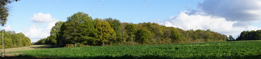 panorama de la Forêt Domaniale de Vouillé-Saint-Hilaire panorama de la Forêt Domaniale de Vouillé-Saint-Hilaire
