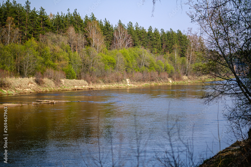 riverside shore in spring with scenic trees and green pastures