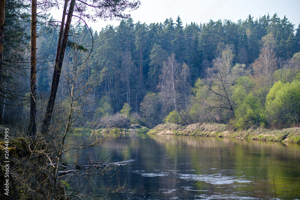 riverside shore in spring with scenic trees and green pastures riverside shore in spring with scenic trees and green pastures