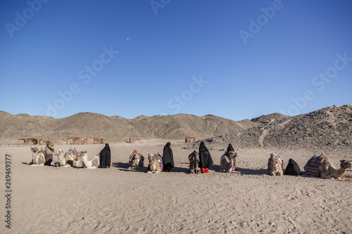 Bedouins in traditional black clothes with camels waits for tourists in bedouin village on the desert near Hurghada, Egypt. Space for text