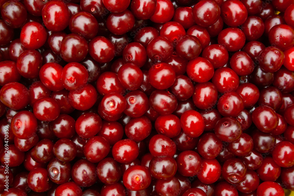 Heap of fresh red cherry with water drops. pile of ripe cherries background close up Heap of fresh red cherry with water drops. pile of ripe cherries background close up