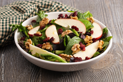 Cranberry Walnut and Apple Salad on a Bed of Mixed Greens