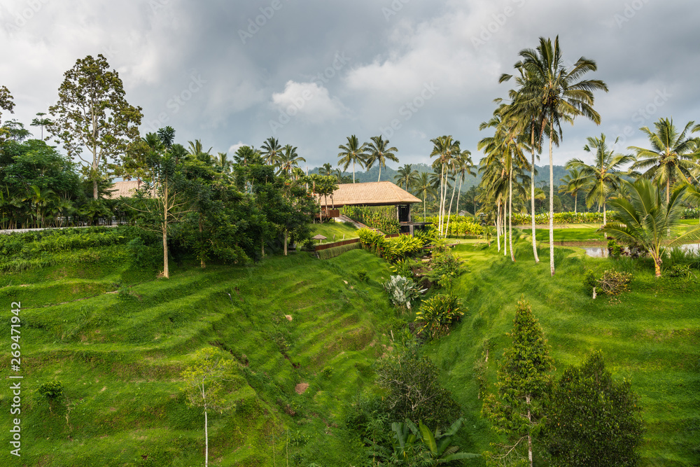 Bedugul, Bali, Indonesia - February 25, 2019: Wooden brown barn hidden on terraces in green landscape, turned into a garden with pond, trees and plants, all under rainy dark sky. Bedugul, Bali, Indonesia - February 25, 2019: Wooden brown barn hidden on terraces in green landscape, turned into a garden with pond, trees and plants, all under rainy dark sky.