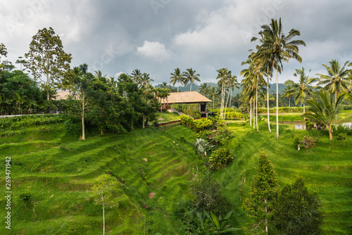 Bedugul, Bali, Indonesia - February 25, 2019: Wooden brown barn hidden on terraces in green landscape, turned into a garden with pond, trees and plants, all under rainy dark sky.