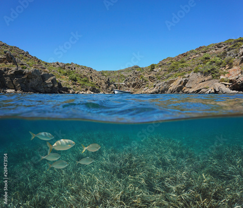 Spain Mediterranean boat in a rocky cove with fish and Posidonia sea grass underwater, Costa Brava, Catalonia, split view half over and under water