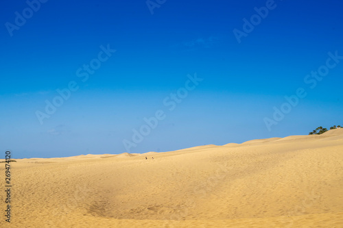 views of the dunes of Gran Canarias  Maspalomas