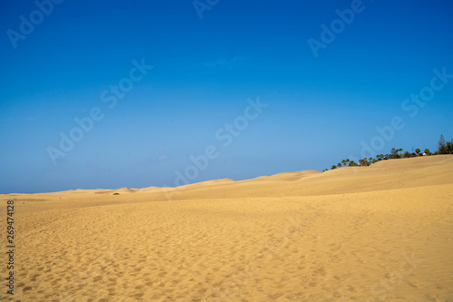 views of the dunes of Gran Canarias, Maspalomas