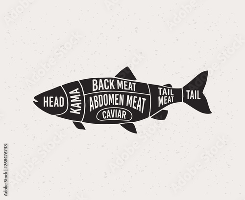 Fish shop. Diagrams for the fish shop. Scheme fish. Silhouette of fish. Vector illustration.