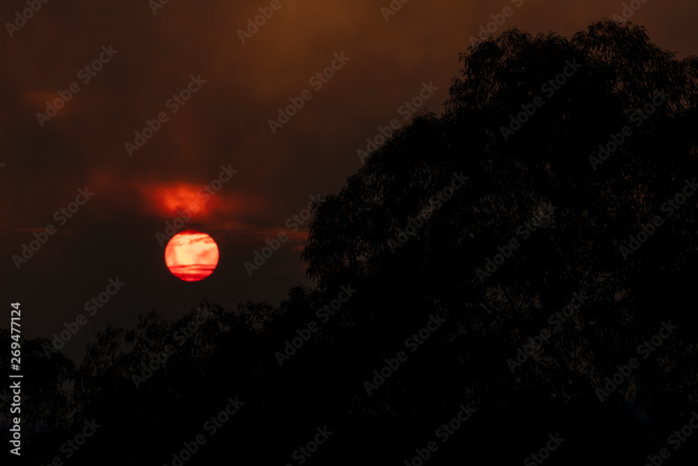 The sun shrouded in the smoke of a large bush fire in The Blue Mountains. The sun shrouded in the smoke of a large bush fire in The Blue Mountains.