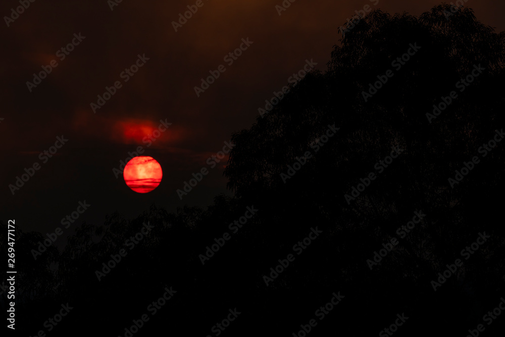 The sun shrouded in the smoke of a large bush fire in The Blue Mountains. The sun shrouded in the smoke of a large bush fire in The Blue Mountains.