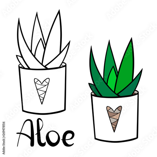 A picture of a house plant in a planter. Vector outline illustration drawings of coloured indoor plant in a flowerpot isolated on a white background. Aloe plant with a handwriting caption