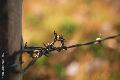 Barb wire © Karl