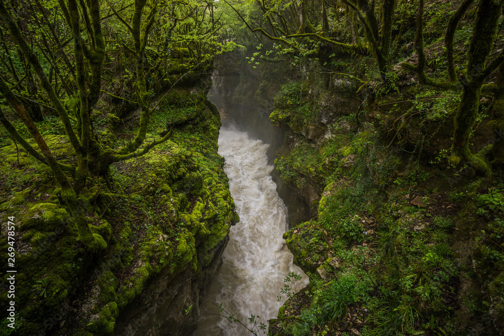 custom made wallpaper toronto digitalmartvili canyon water stream through forest