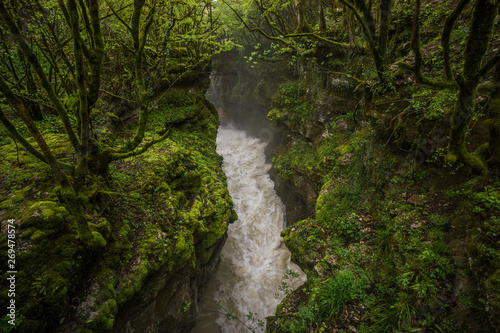 Wallpaper Mural martvili canyon water stream through forest Torontodigital.ca