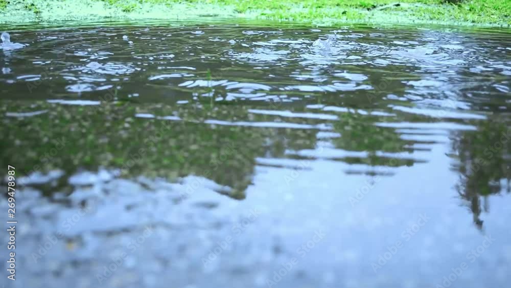 Water Puddle on Rainy Day with water drops falling Water Puddle on Rainy Day with water drops falling